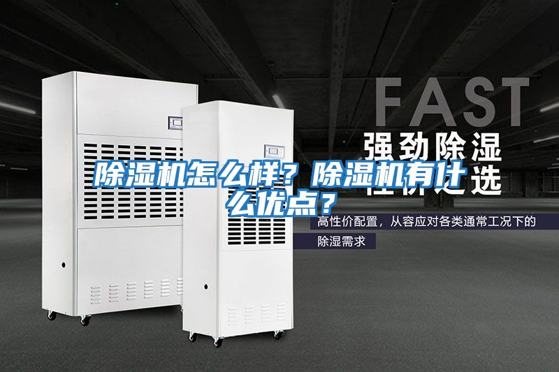 除濕機怎么樣？除濕機有什么優(yōu)點(diǎn)？