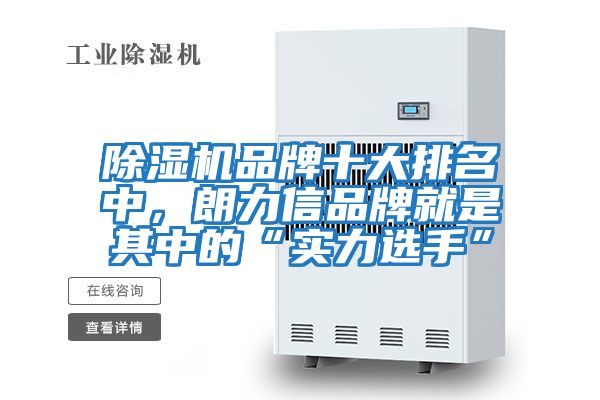 除濕機品牌十大排名中，朗力信品牌就是其中的“實(shí)力選手”