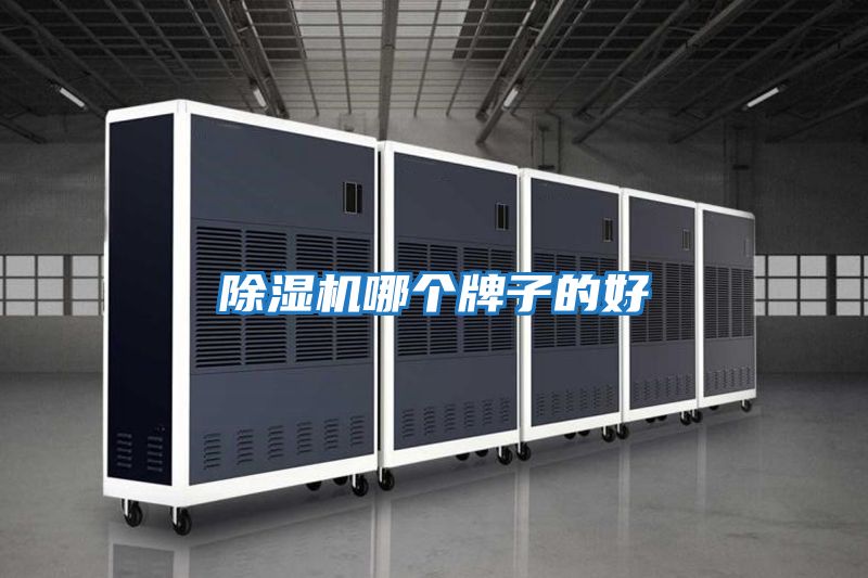 除濕機哪個(gè)牌子的好