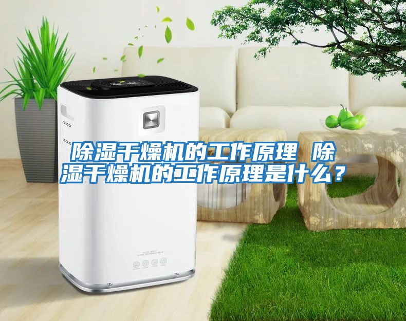 除濕干燥機的工作原理 除濕干燥機的工作原理是什么？