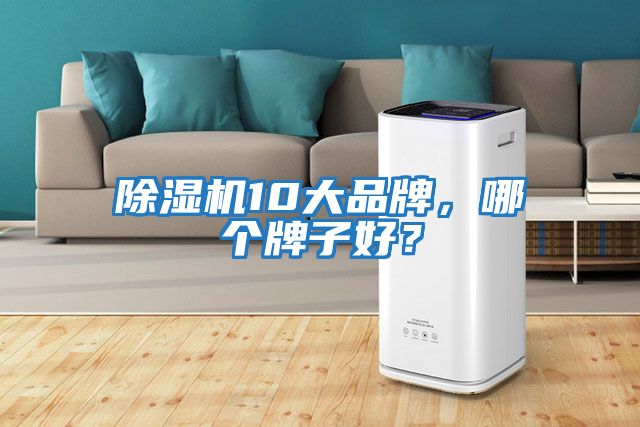 除濕機10大品牌，哪個(gè)牌子好？