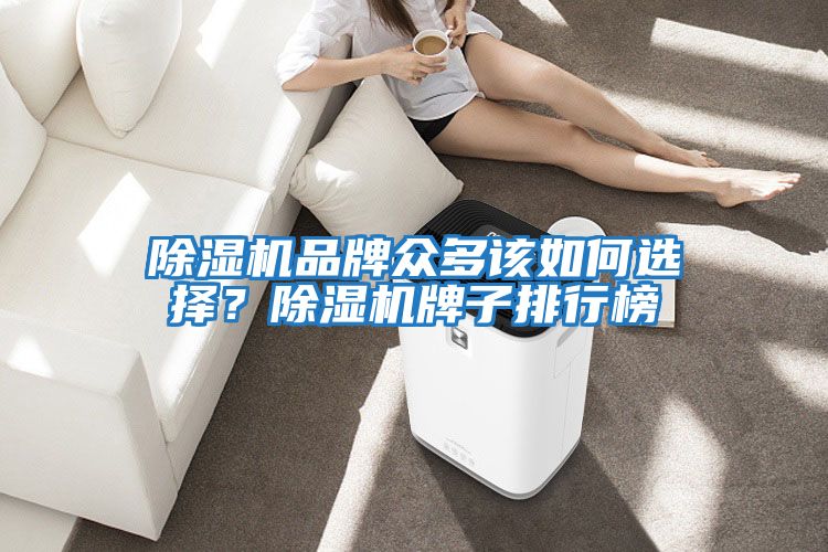 除濕機品牌眾多該如何選擇？除濕機牌子排行榜