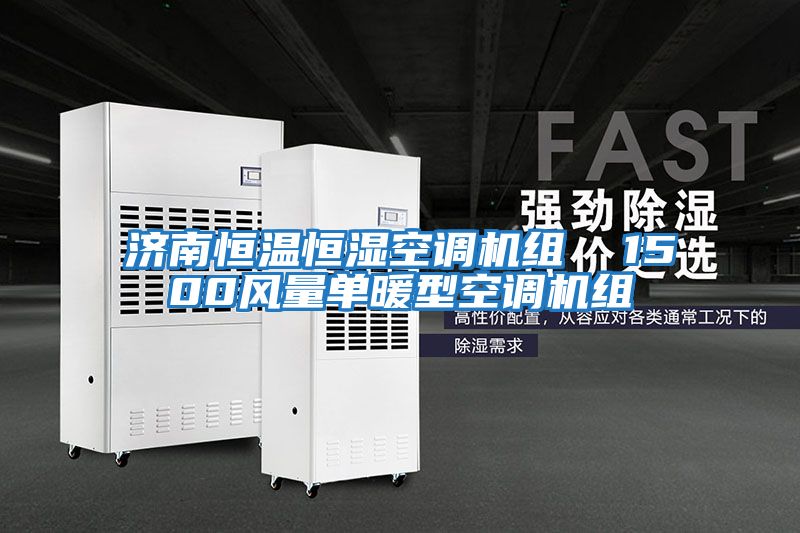 濟南恒溫恒濕空調機組  1500風(fēng)量單暖型空調機組