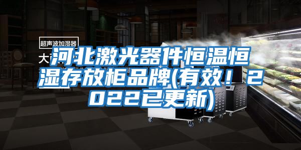 河北激光器件恒溫恒濕存放柜品牌(有效！2022已更新)