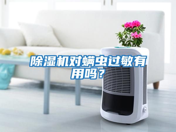 除濕機對螨蟲(chóng)過(guò)敏有用嗎？