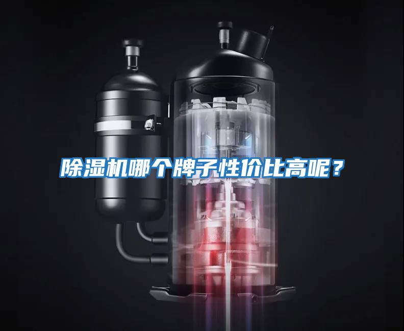 除濕機哪個(gè)牌子性?xún)r(jià)比高呢？