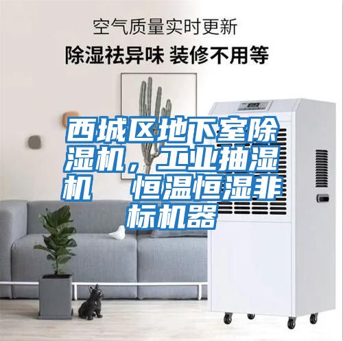 西城區地下室除濕機，工業(yè)抽濕機  恒溫恒濕非標機器