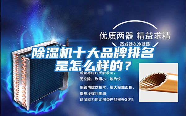 除濕機十大品牌排名是怎么樣的？