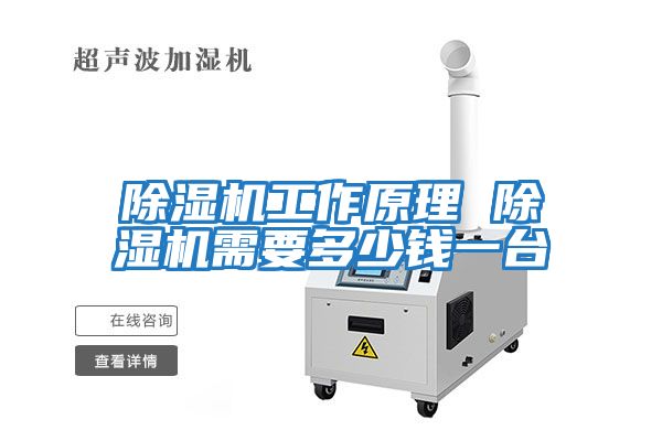 除濕機工作原理 除濕機需要多少錢(qián)一臺