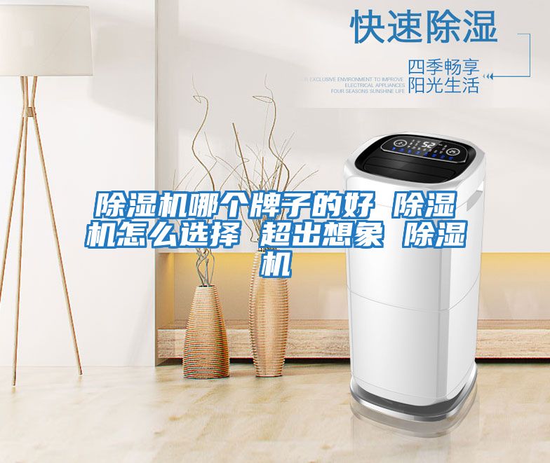 除濕機哪個(gè)牌子的好 除濕機怎么選擇 超出想象 除濕機