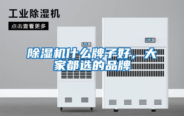 除濕機什么牌子好，大家都選的品牌