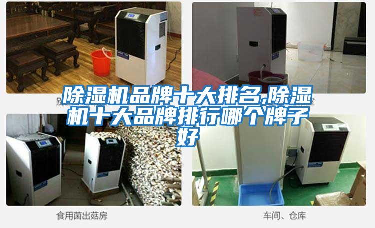 除濕機品牌十大排名,除濕機十大品牌排行哪個(gè)牌子好