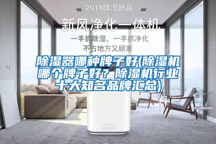 除濕器哪種牌子好(除濕機哪個(gè)牌子好？除濕機行業(yè)十大知名品牌匯總)