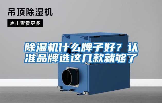 除濕機什么牌子好？認準品牌選這幾款就夠了