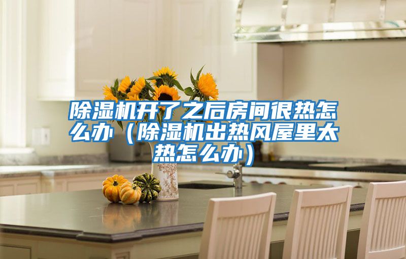 除濕機開(kāi)了之后房間很熱怎么辦（除濕機出熱風(fēng)屋里太熱怎么辦）