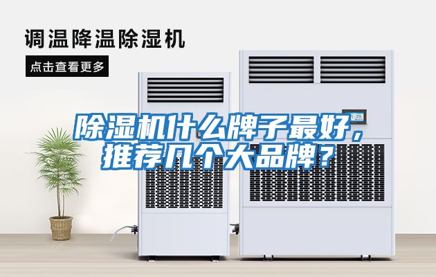 除濕機什么牌子最好，推薦幾個(gè)大品牌？