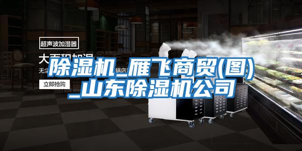 除濕機_雁飛商貿(圖)_山東除濕機公司