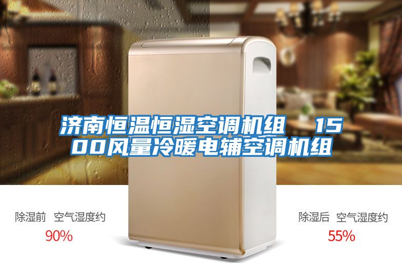 濟南恒溫恒濕空調機組  1500風(fēng)量冷暖電輔空調機組