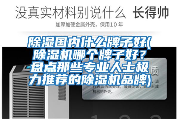 除濕國內什么牌子好(除濕機哪個(gè)牌子好？盤(pán)點(diǎn)那些專(zhuān)業(yè)人士極力推薦的除濕機品牌)