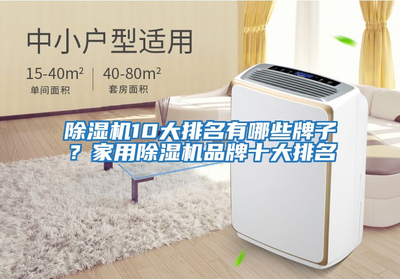 除濕機10大排名有哪些牌子？家用除濕機品牌十大排名