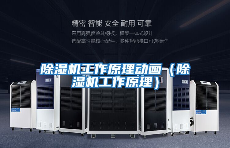 除濕機工作原理動(dòng)畫(huà)（除濕機工作原理）