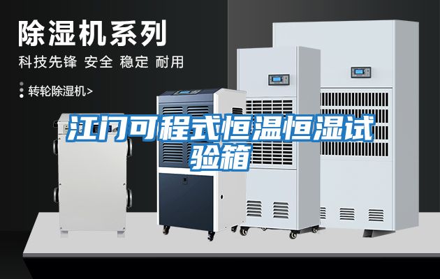江門(mén)可程式恒溫恒濕試驗箱