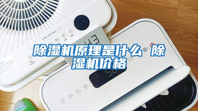 除濕機原理是什么 除濕機價(jià)格