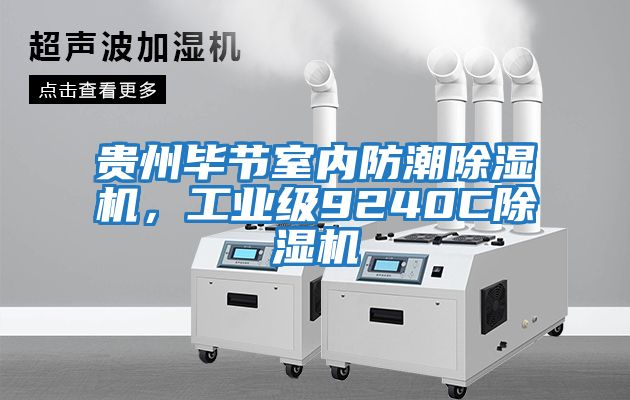 貴州畢節室內防潮除濕機，工業(yè)級9240C除濕機
