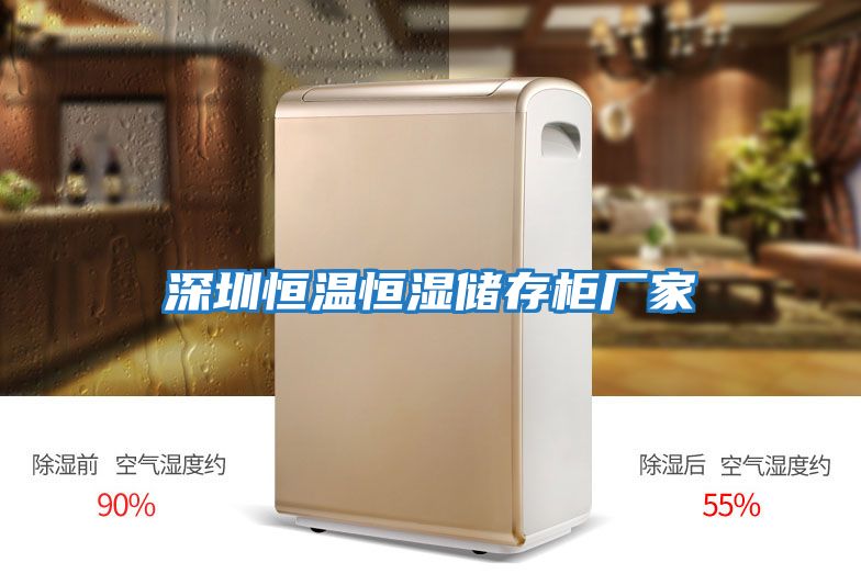 深圳恒溫恒濕儲存柜廠(chǎng)家