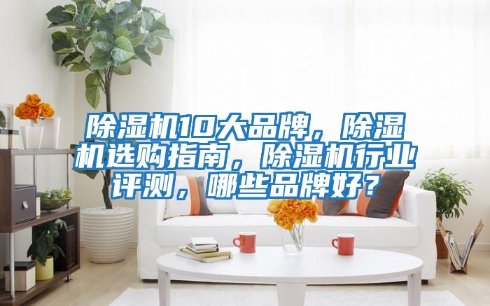 除濕機10大品牌，除濕機選購指南，除濕機行業(yè)評測，哪些品牌好？