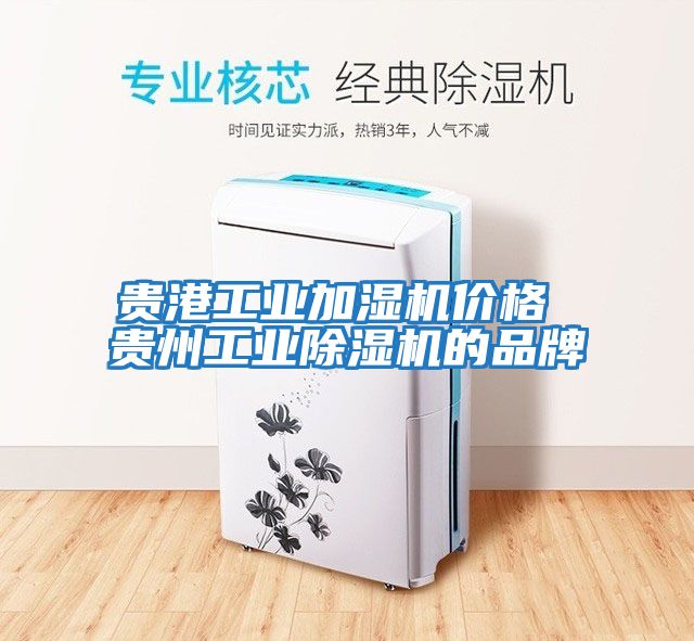 貴港工業(yè)加濕機價(jià)格 貴州工業(yè)除濕機的品牌