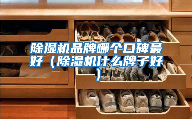除濕機品牌哪個(gè)口碑最好（除濕機什么牌子好）