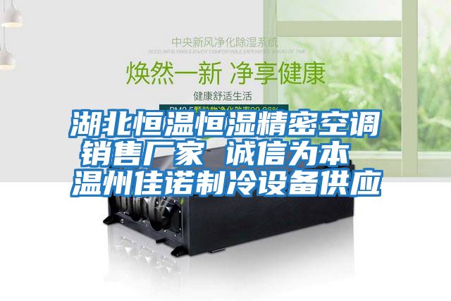 湖北恒溫恒濕精密空調銷(xiāo)售廠(chǎng)家 誠信為本 溫州佳諾制冷設備供應