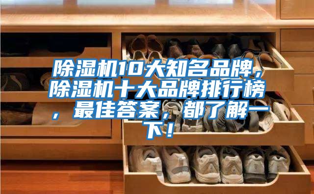 除濕機10大知名品牌，除濕機十大品牌排行榜，最佳答案，都了解一下！