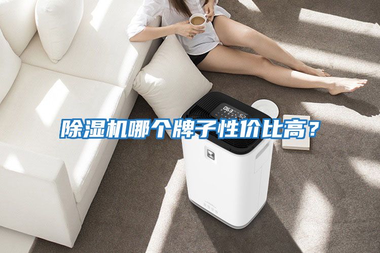 除濕機哪個(gè)牌子性?xún)r(jià)比高？