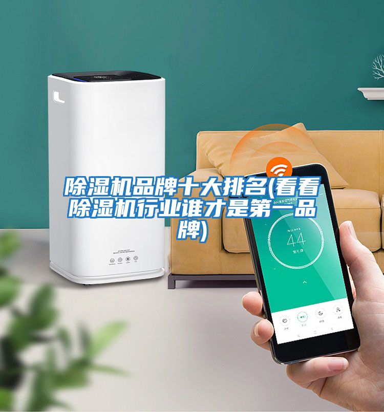 除濕機品牌十大排名(看看除濕機行業(yè)誰(shuí)才是第一品牌)