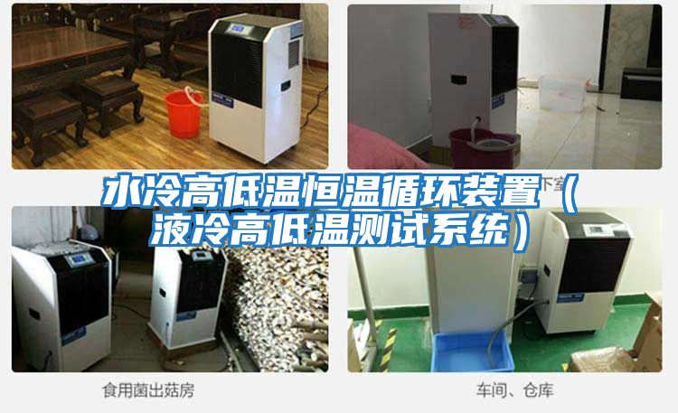水冷高低溫恒溫循環(huán)裝置（液冷高低溫測試系統）