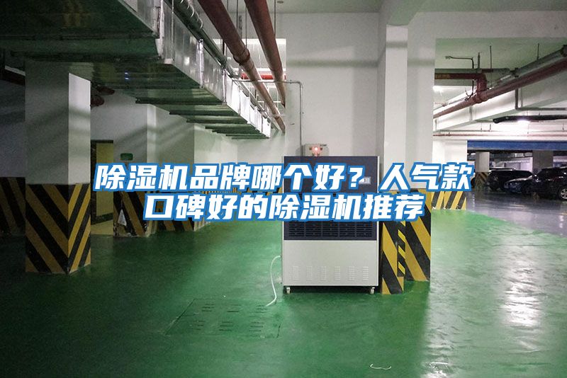 除濕機品牌哪個(gè)好？人氣款口碑好的除濕機推薦