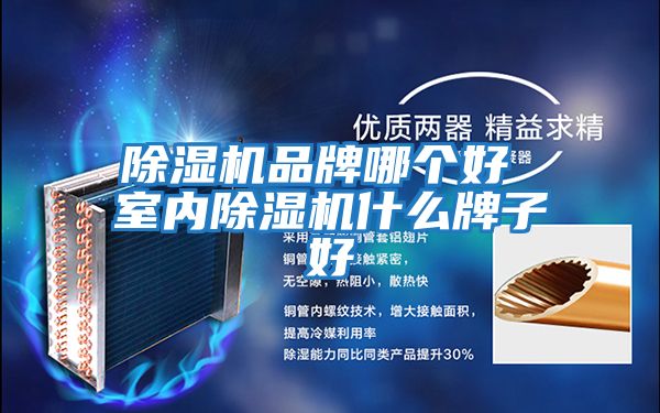 除濕機品牌哪個(gè)好 室內除濕機什么牌子好