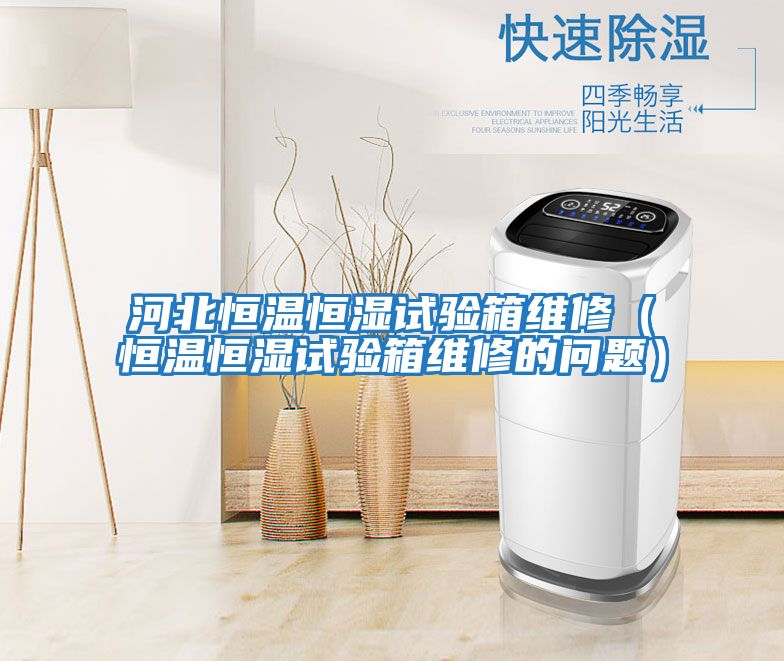 河北恒溫恒濕試驗箱維修（恒溫恒濕試驗箱維修的問(wèn)題）