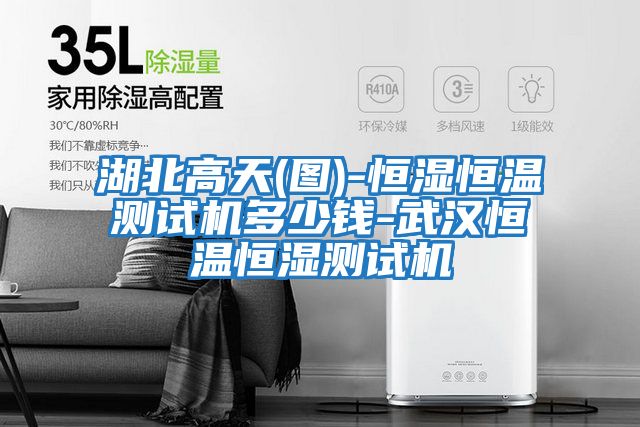 湖北高天(圖)-恒濕恒溫測試機多少錢(qián)-武漢恒溫恒濕測試機
