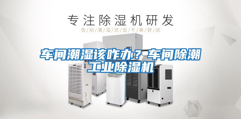 車(chē)間潮濕該咋辦？車(chē)間除潮工業(yè)除濕機