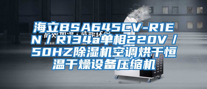 海立BSA645CV-R1EN/R134a單相220V/50HZ除濕機空調烘干恒溫干燥設備壓縮機