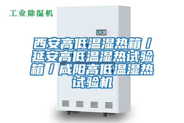 西安高低溫濕熱箱／延安高低溫濕熱試驗箱／咸陽(yáng)高低溫濕熱試驗機