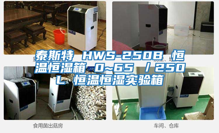 泰斯特 HWS-250B 恒溫恒濕箱 0~65℃／250L 恒溫恒濕實(shí)驗箱