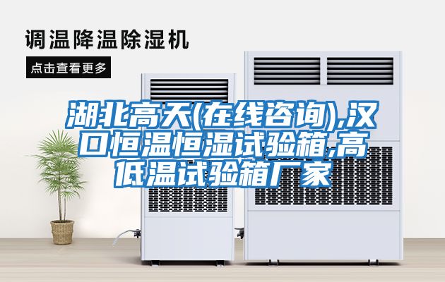 湖北高天(在線(xiàn)咨詢(xún)),漢口恒溫恒濕試驗箱,高低溫試驗箱廠(chǎng)家