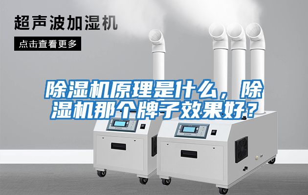 除濕機原理是什么，除濕機那個(gè)牌子效果好？