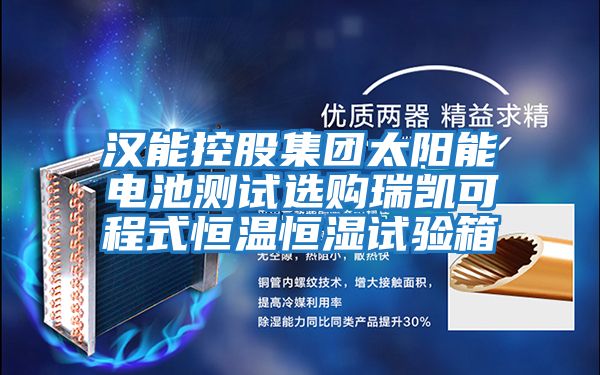 漢能控股集團太陽(yáng)能電池測試選購瑞凱可程式恒溫恒濕試驗箱