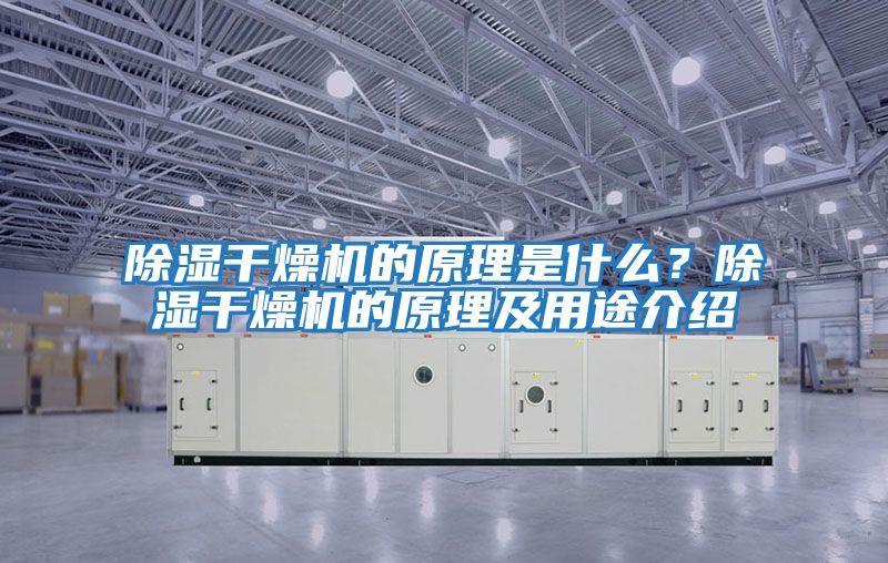 除濕干燥機的原理是什么？除濕干燥機的原理及用途介紹