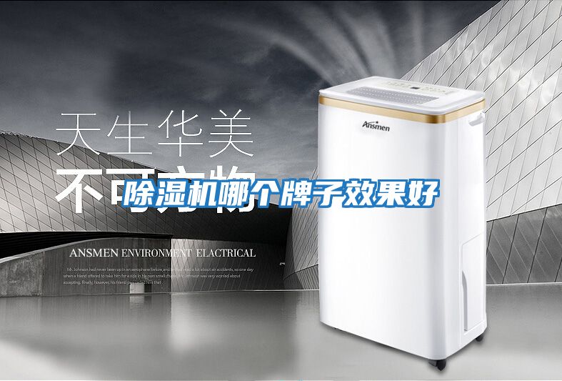 除濕機哪個(gè)牌子效果好